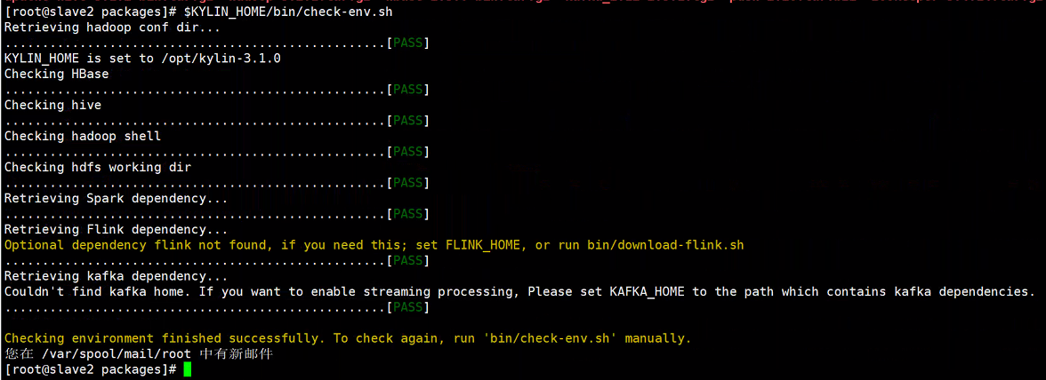 check-env
